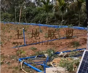 海口琼山11亩沉香园转租接手管理即可