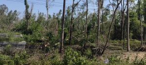 琼海600亩种植地56年合同租金190元/亩/年