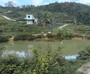 三亚约88亩榴莲园转让水电房齐全租金五年一付