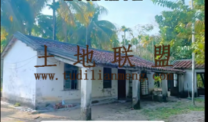 万宁约2亩地带100平米瓦房转让环境清幽舒适