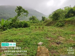 屯昌500亩种植地农场地租金便宜随时进场耕种